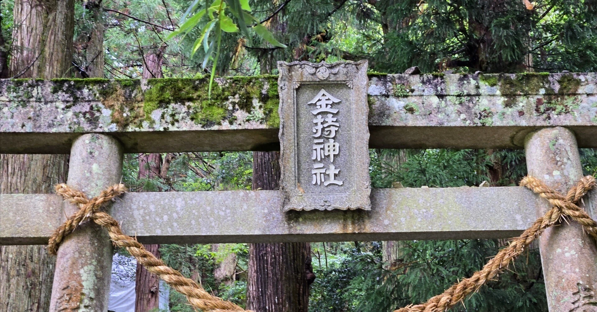 金運アップの聖地へ!山陰夫婦旅の始まりは「金持神社」から