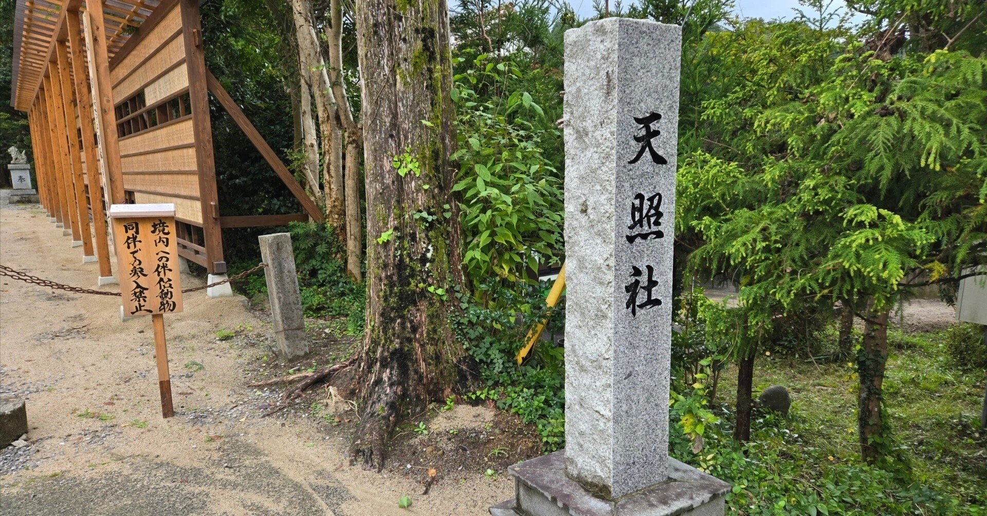 須佐参拝の後はここへ!須佐神社の真向かいに鎮座する「天照社」の隠れたパワーとは?